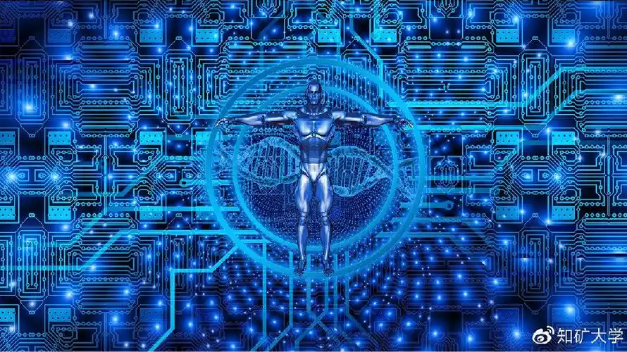 Vast Australian mining farm with rows of active mining rigs under sustainable energy setup