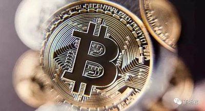 A picture of a well-organized mining farm, highlighting its scale and efficiency